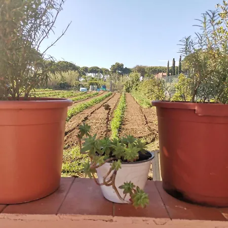 Tuscany Holidays Feriehus Giannella