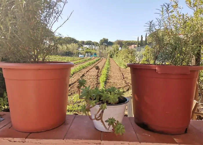 Tuscany Holidays Prázdninový dům Giannella